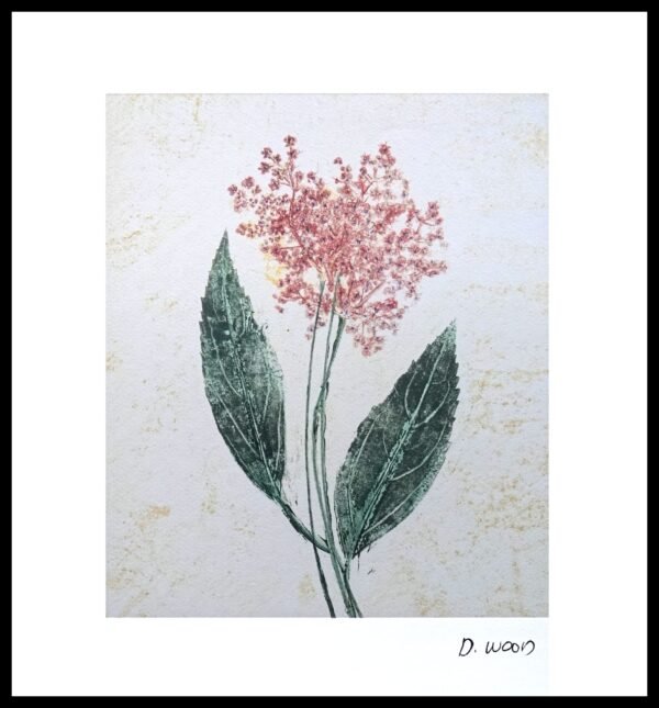 DNA WSP 218 Floral I